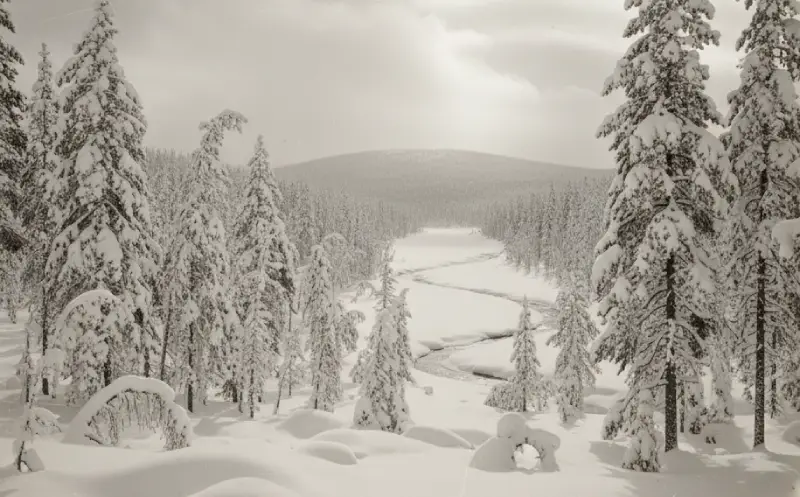 vanha-rovaniemen-luonto Rovaniemi winter